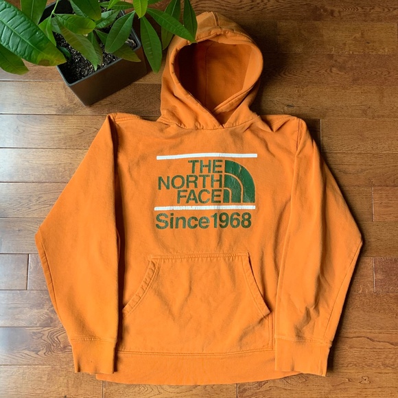 The North Face Hoodie - Picture 1 of 5